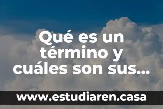Qué es un término y cuáles son sus componentes