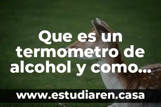 Qué es el alcohol unam 4 Que es un termometro de alcohol y como funciona