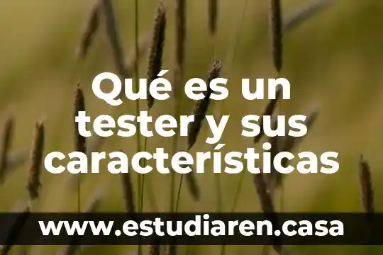 Qué es un tester y sus características