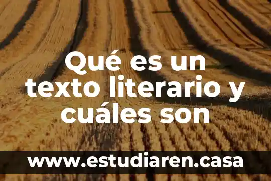 Qué es un texto literario y cuáles son