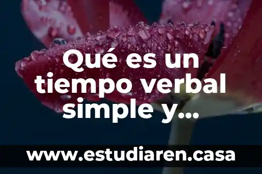 Qué es un tiempo verbal simple y compuesto