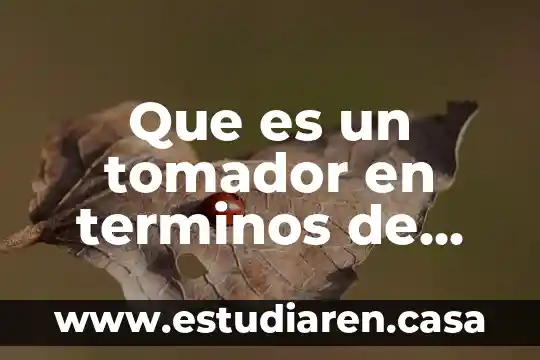 Que es cuortica en terminos de algebra 6 Que es un tomador en terminos de superacion interpersonal