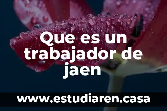 Que es un trabajador yahoo 7 Que es un trabajador de jaen