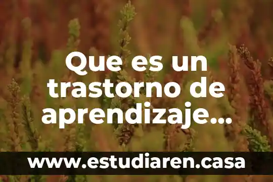 Que es un juicio sucesorio intestamentario según autores mexicanos 8 Que es un trastorno de aprendizaje segun dsm v