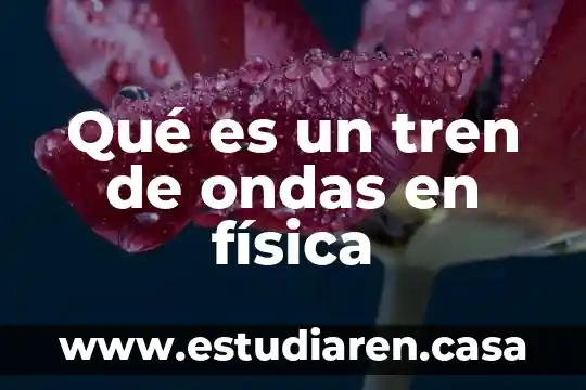 Qué es un tren de ondas en física