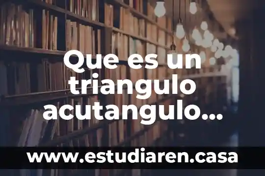 Que es la paradoja hidrostatica de stevin yahoo 7 Que es un triangulo acutangulo yahoo
