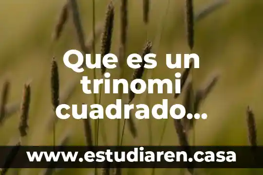 Qué es un decámetro cuadrado 8 Que es un trinomi cuadrado perfecto con tres ejemplos