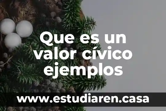 Que es valor civico de nacionalismo 3 Que es un valor cívico ejemplos