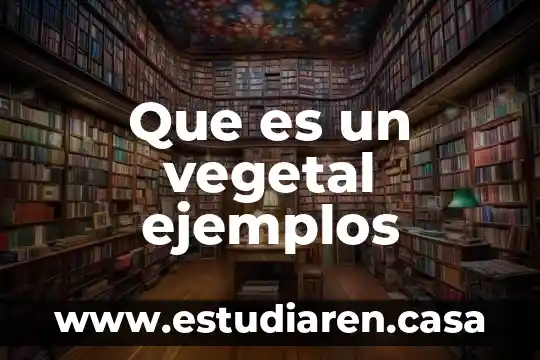 Que es el contrato audiovisual 3 Que es un vegetal ejemplos