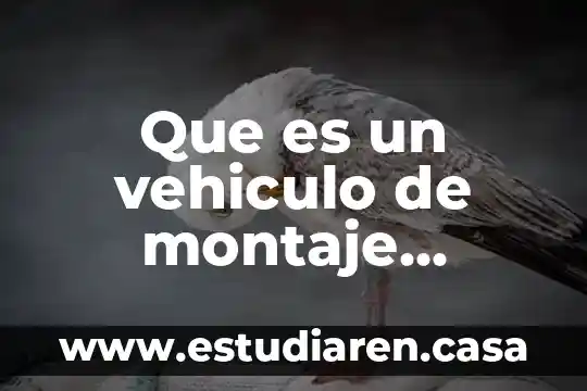 Que es un montaje de modelos 4 Que es un vehiculo de montaje industrial