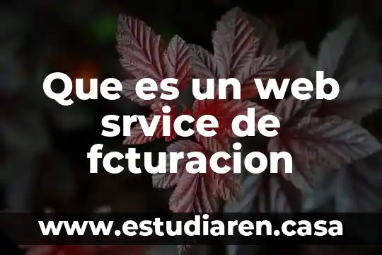 Que es un web srvice de fcturacion