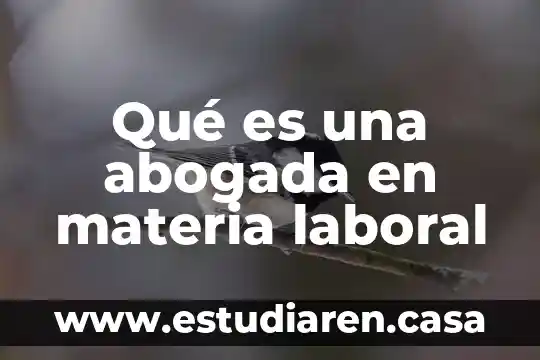Qué es una abogada en materia laboral