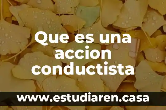 Qué es Acción de Gracias en EUA 8 Que es una accion conductista