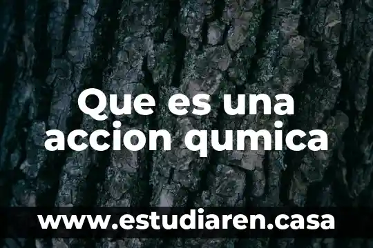 Qué es Acción de Gracias en EUA 7 Que es una accion qumica