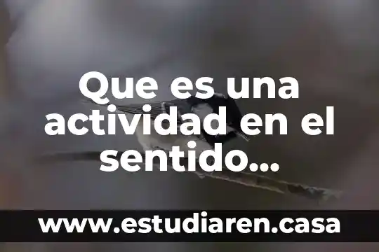 Qué es sentido ciencia 3 Que es una actividad en el sentido pedagógico