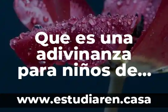 Que es una adivinanza para niños de primer grado