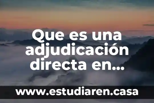 Adjudicación de un contrato que es 6 Que es una adjudicación directa en mexico