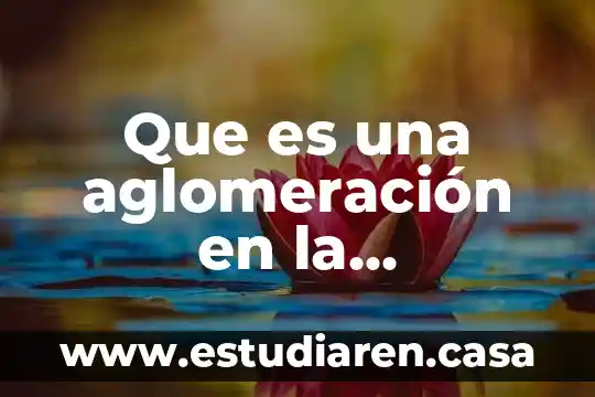 Que es una aglomeración en la psicologia social