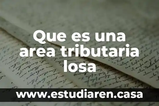Qué es un área ramsar np 8 Que es una area tributaria losa