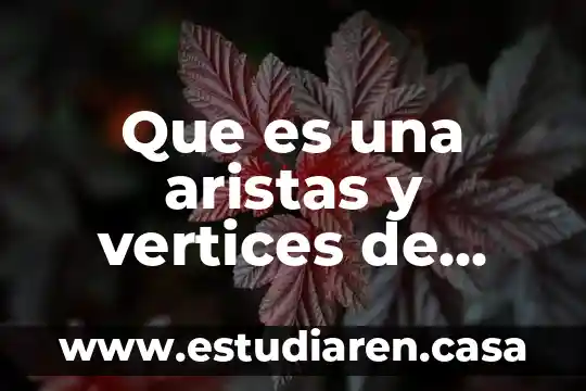 Que es area de solidos geometricos 6 Que es una aristas y vertices de cuerpos geometricos