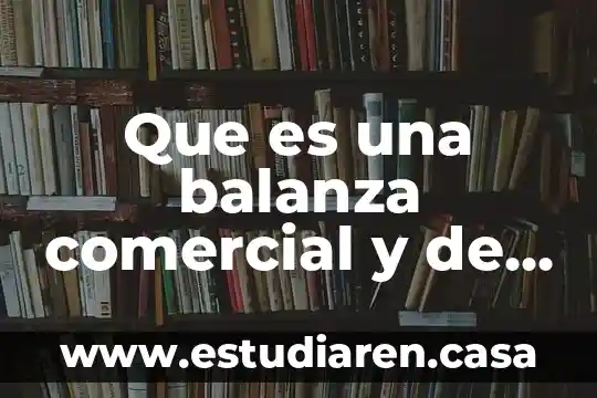 Que es una balanza comercial y de que nos hablan