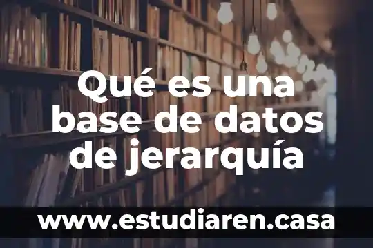 Qué es una base de datos de jerarquía