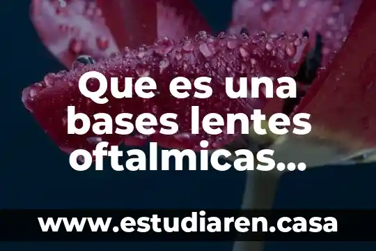 Por que es importante que se complementen las bases nitrogenadas 4 Que es una bases lentes oftalmicas para lentes organicos