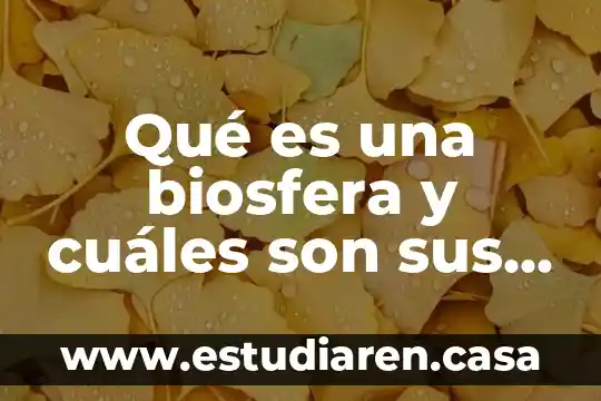 Qué es una morfema y cuáles son los elementos dramáticos 7 Qué es una biosfera y cuáles son sus características