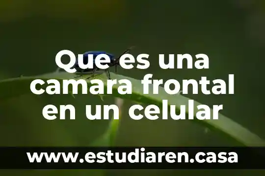 Que es la inteligencia linguistica y ejemplos 6 Que es una camara frontal en un celular