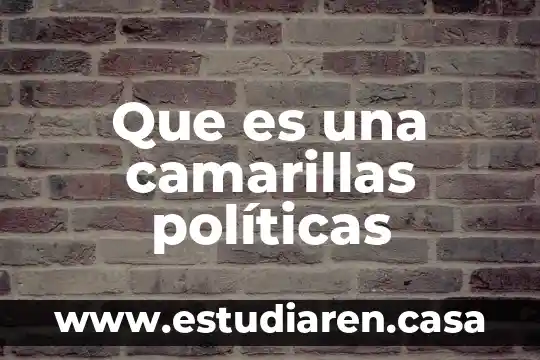Que es la logica evaluativa de politicas publicas 3 Que es una camarillas políticas