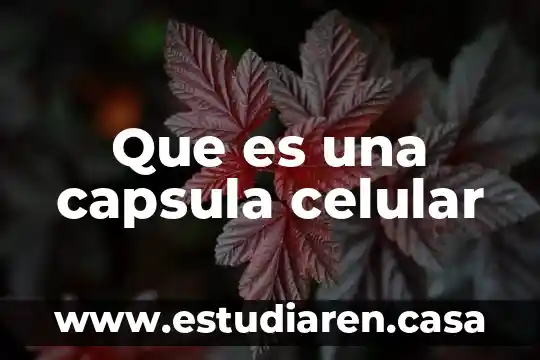 Que es capsula programa 6 Que es una capsula celular