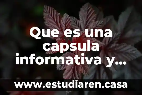 Que es capsula programa 3 Que es una capsula informativa y ejemplos