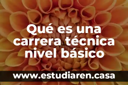 Qué es una carrera técnica nivel básico