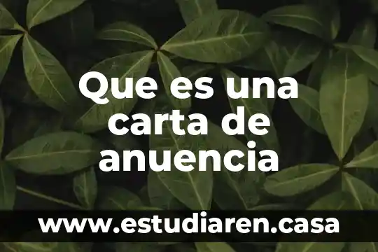 Que es una carta legible 3 Que es una carta de anuencia