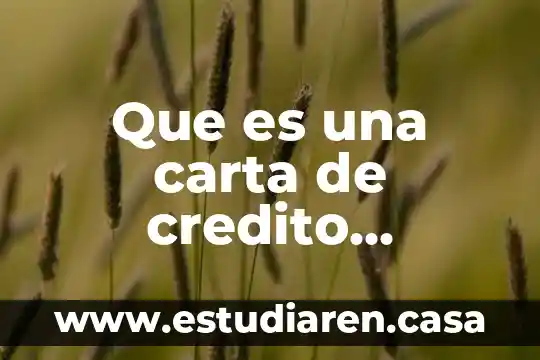 Que es la comisión interamericana de arbitraje comercial 4 Que es una carta de credito comercial