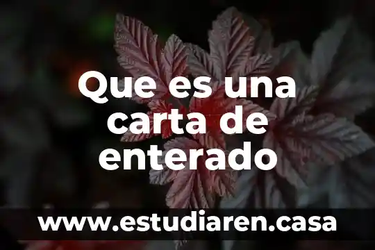 Que es una carta poder funcionalidad 3 Que es una carta de enterado
