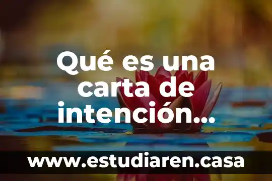 Que es una carta de intencion firmada con fmi 8 Qué es una carta de intención UABC