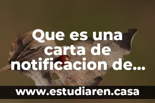 Que es una carta de enterado 3 Que es una carta de notificacion de ordenes