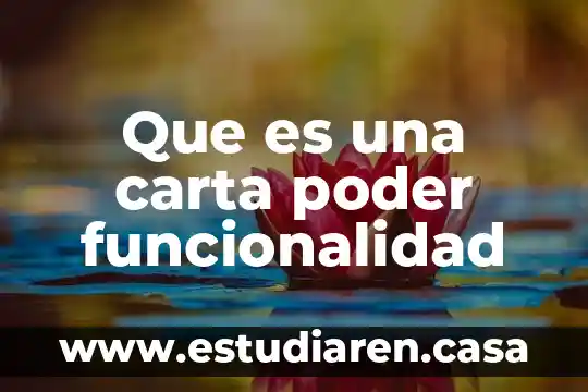 Que es una carta de enterado 5 Que es una carta poder funcionalidad