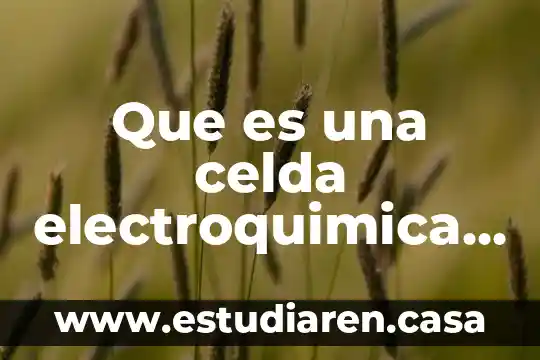 Que es celda en tecnologia 3 Que es una celda electroquimica unam