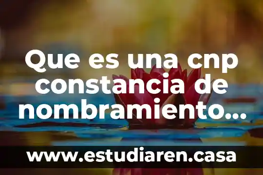 Que es la constancia al programa integral cdmx 4 Que es una cnp constancia de nombramiento de pago