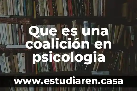 Que es una coalición en psicologia