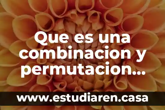 Que es una combinacion y permutacion en estadistica libro webster