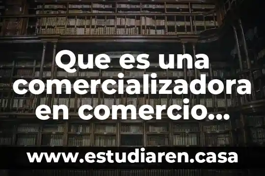 Que es ci en comercio exterior 4 Que es una comercializadora en comercio internacional