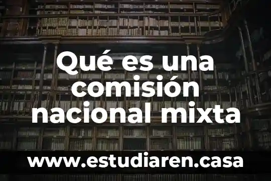 Qué es una comisión nacional mixta