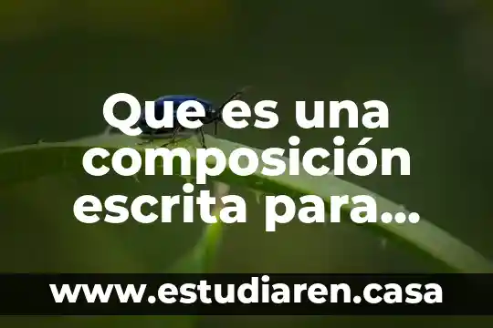 Qué es la oración comunicación oral y escrita 5 Que es una composición escrita para niños
