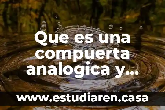 Que es una compuerta analogica y digital