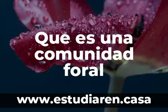 Que es la comunidad legbt 5 Que es una comunidad foral