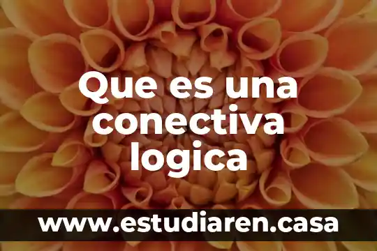 Que es una conectiva logica
