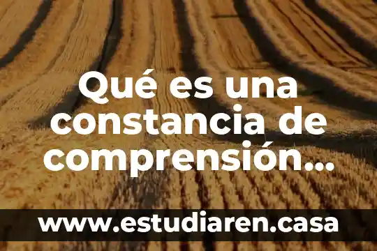 Qué es una constancia de comprensión de textos en inglés
